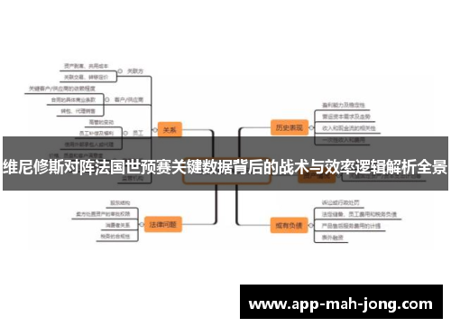 维尼修斯对阵法国世预赛关键数据背后的战术与效率逻辑解析全景